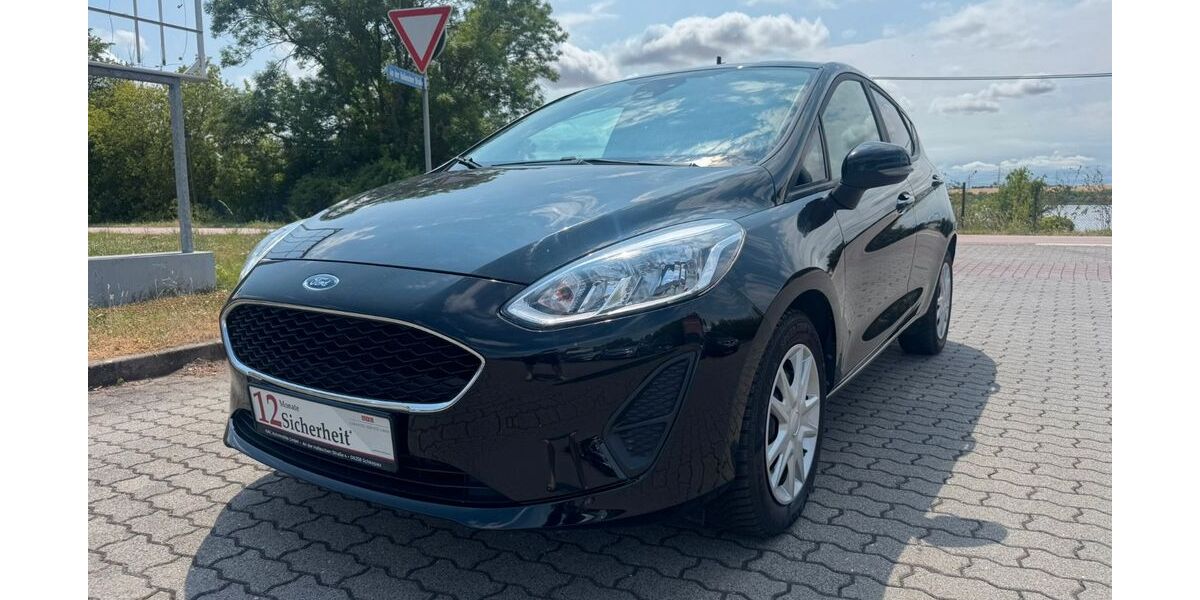 Ford Fiesta 110.782 km 7.999 &euro; Schkopau 06258