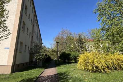 Wohnung zum Mieten in Merseburg 345,50 € 58.56 m² 3 zimmer