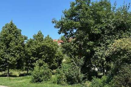 Wohnung zum Kaufen in Leipzig 190.000 € 57.05 m²