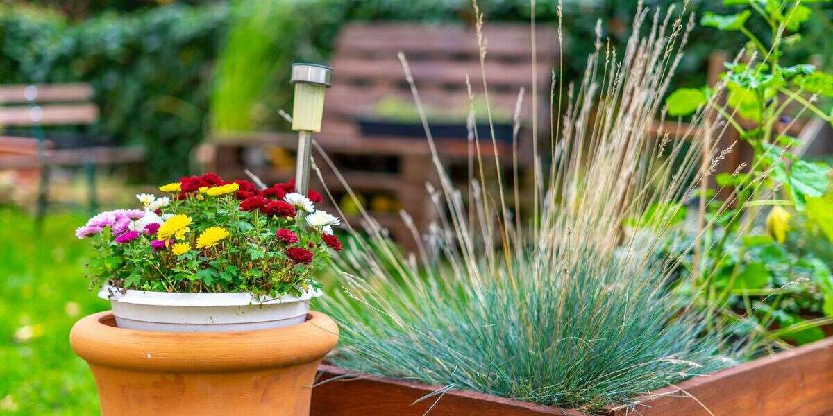 Etagenwohnung Leipzig Gohlis-Nord - 2 Zimmer, 52 m&sup2;, 110.000&euro; | Angebot:25684305