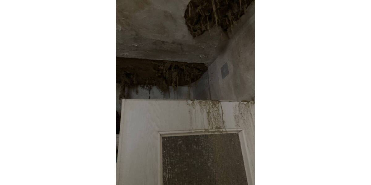 Mehrfamilienhaus, Wohnhaus Bad Lausick - 8 Zimmer, 235 m&sup2;, 159.000&euro; | Angebot:26142639