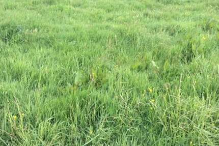 Grundstück in Leipzig 1.900.000 € 7600 m² zimmer