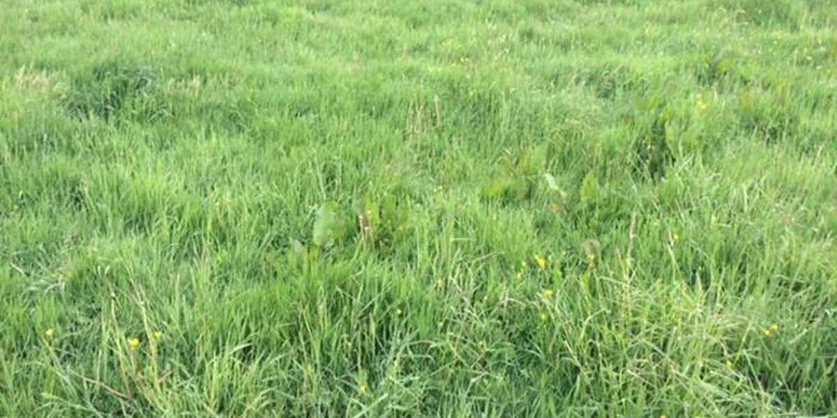 Grundstück in Leipzig 1.900.000 € 7600 m² zimmer