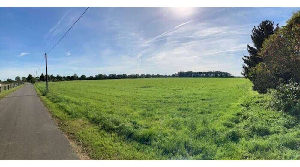 Grundstück zu verkaufen in Borna 121.500 € 675 m²