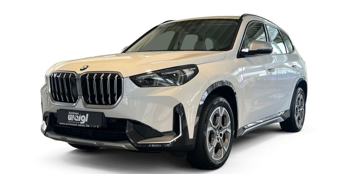 BMW X1 42.500 km 30.224 &euro; Merseburg 06217
