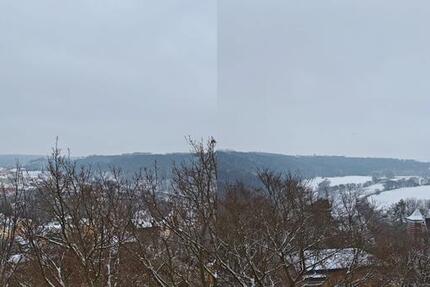 Wohnung Grimma - 1 Zimmer, 32 m&sup2;, 254&euro; | Angebot:24812637