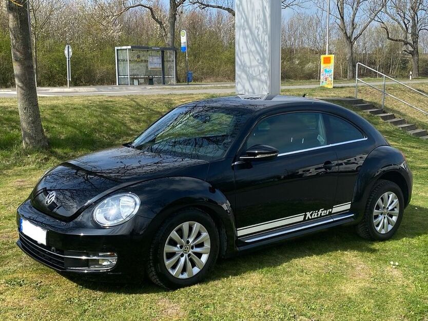 Beetle