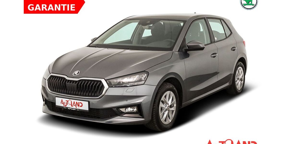 Skoda Fabia 39.755 km 19.490 &euro; Leipzig 04209