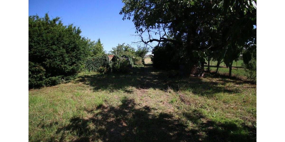 Traumhaft großes Grundstück in Tollwitz bei Markranstädt zum Traumhausbau! zimmer