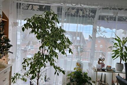 Eine Wohnung zu vermiten 1 zimmer