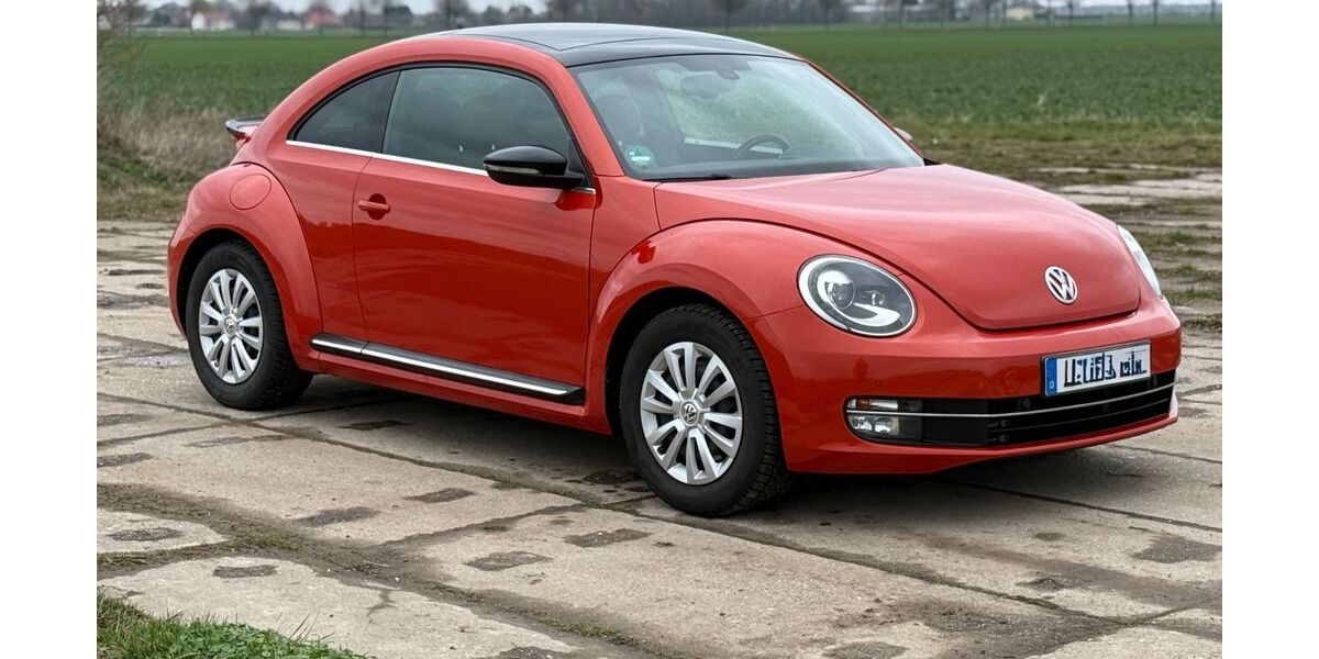 VW Beetle 103.000 km 16.999 &euro; Wiedemar 04509