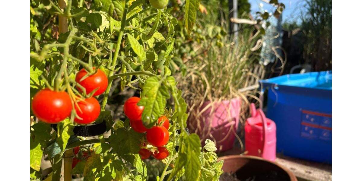 Doppelhaushälfte Schkeuditz - 5 Zimmer, 169 m&sup2;, 440.000&euro; | Angebot:25687511