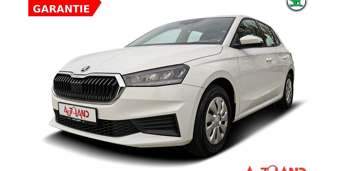 Skoda Fabia 26.485 km 16.950 &euro; Brehna 06796