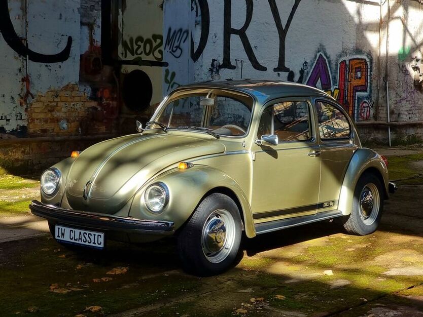 Beetle