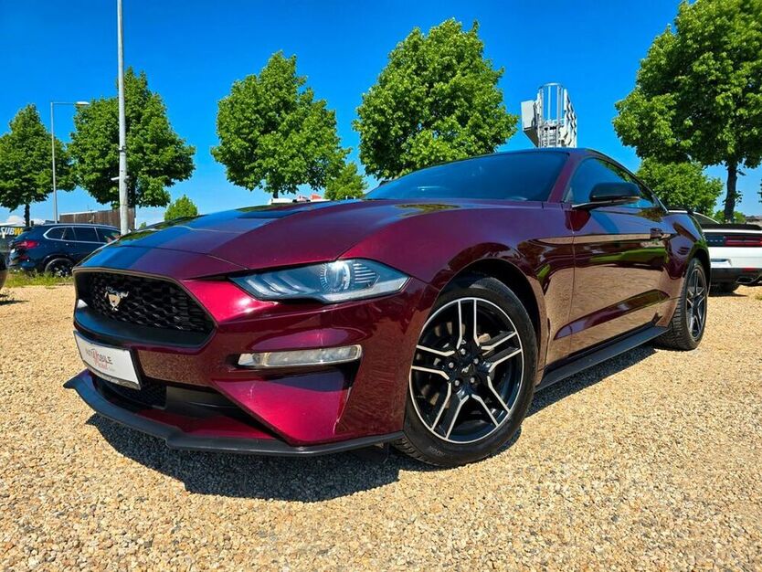 Mustang