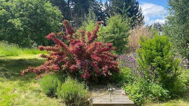 Bungalow Leipzig Holzhausen - 2 Zimmer, 73 m&sup2;, 299.950&euro; | Angebot:25315589