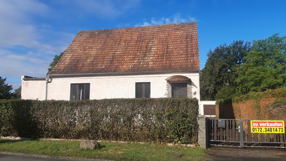 Einfamilienhaus Naunhof - 379.000&euro; | Angebot:19527063