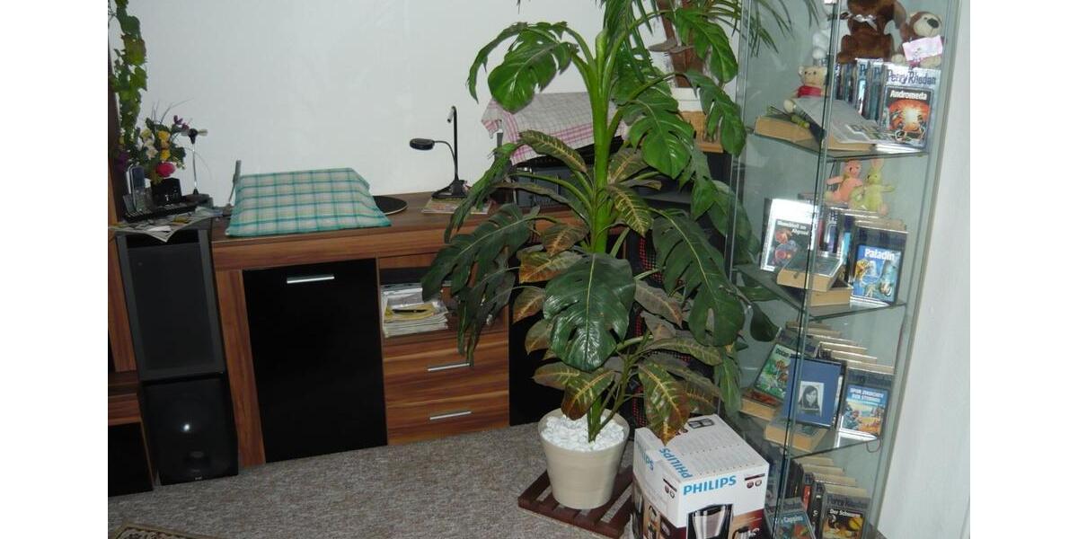 Nachmieter für Zweiraumwohnung 2 zimmer