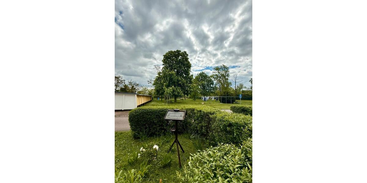 Erdgeschoßwohnung Merseburg - 4 Zimmer, 82 m&sup2;, 128.000&euro; | Angebot:26698404