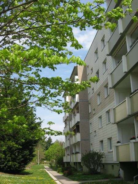 Wohnung zum Mieten in Schkeuditz 540 € 60 m²