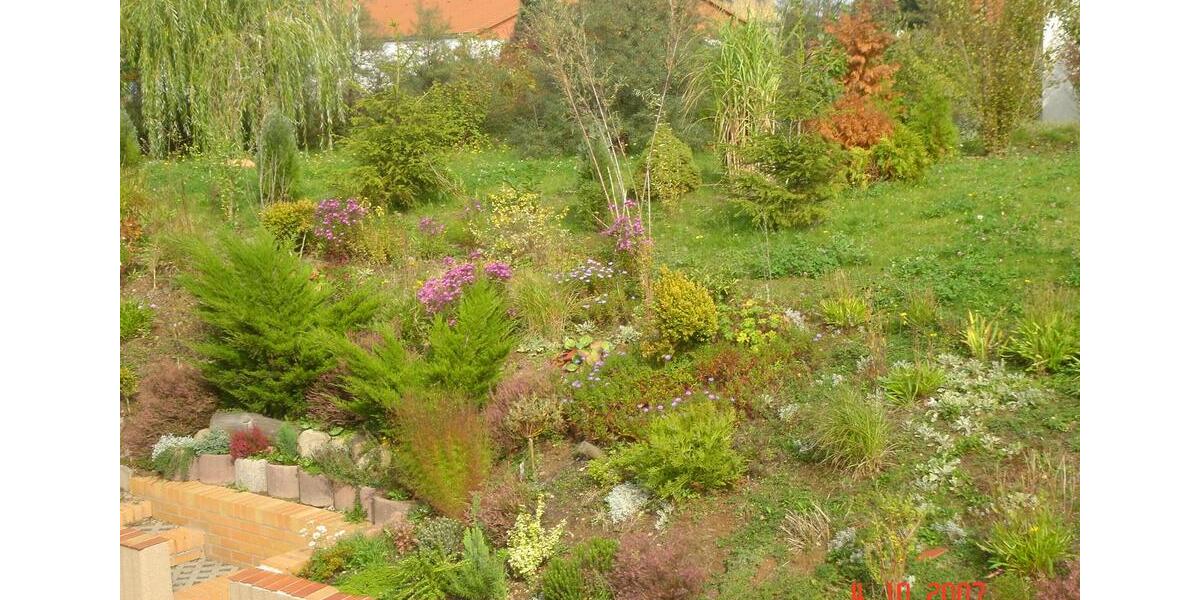 Helle schöne 3-Raum-Wohnung mit großem Bad und auf Wunsch 100m² Garten – frisch renoviert in Bennewitz zimmer