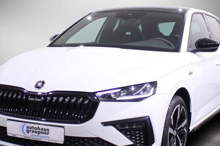 Skoda Scala 10.460 km 21.867 &euro; Brandis 04821