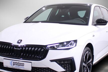 Skoda Scala 8.990 km 23.888 &euro; Brandis 04821