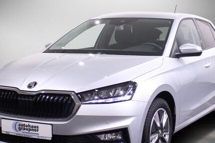 Skoda Fabia 61.163 km 15.288 &euro; Brandis 04821