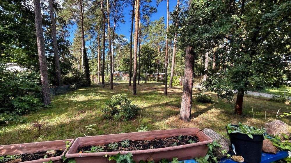Mehrfamilienhaus, Wohnhaus Zschepplin Glaucha - 4 Zimmer, 45 m&sup2;, 54.000&euro; | Angebot:25677339
