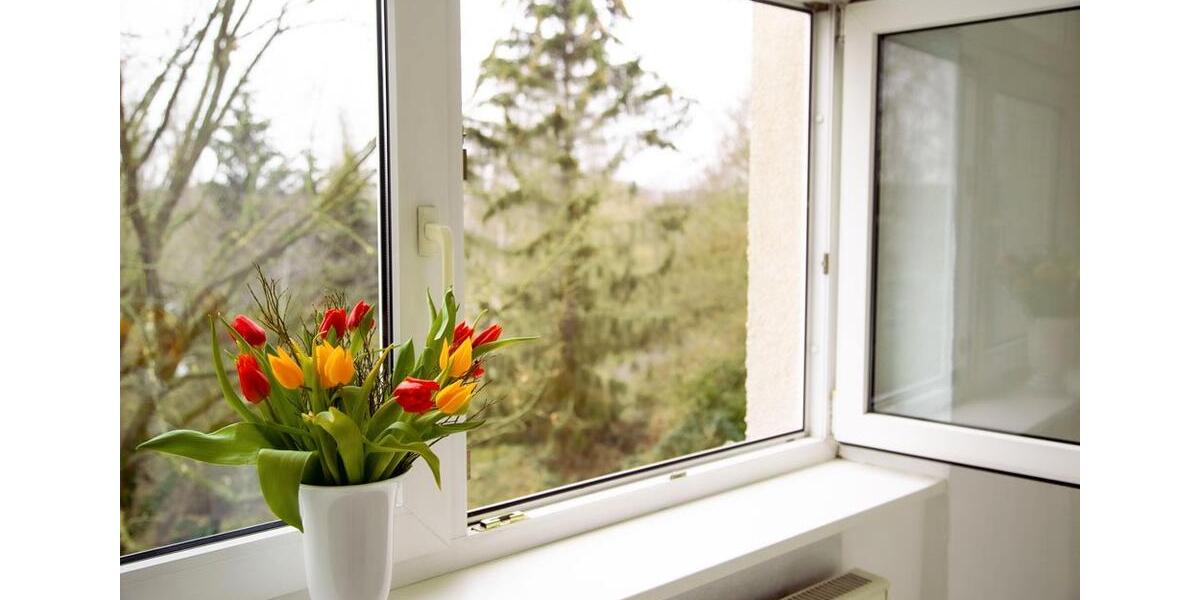 Etagenwohnung Leipzig Mitte - 4 Zimmer, 91 m&sup2;, 320.000&euro; | Angebot:26913048