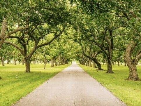 Etagenwohnung Leipzig Schönefeld-Abtnaundorf - 4 Zimmer, 181 m&sup2;, 1.050.000&euro; | Angebot:25798264