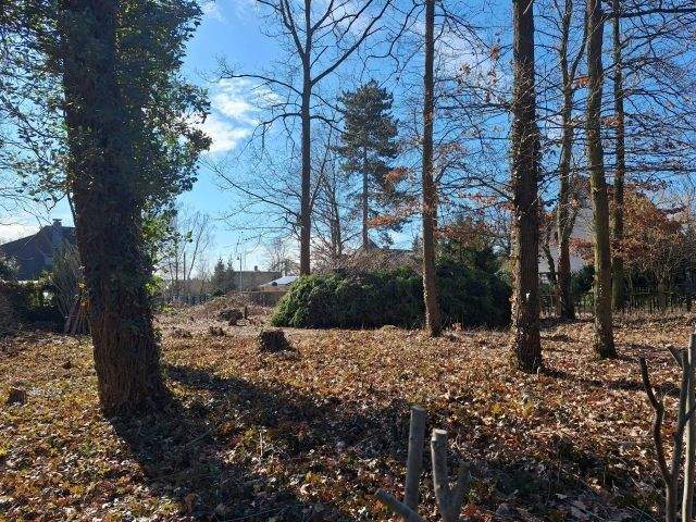 Grundstück Machern - 185.000&euro; | Angebot:25748546