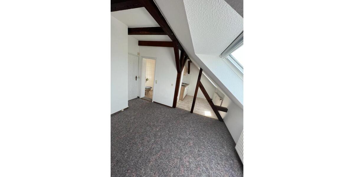 Dachgeschoßwohnung Grimma - 2 Zimmer, 38 m&sup2;, 310&euro; | Angebot:24455772