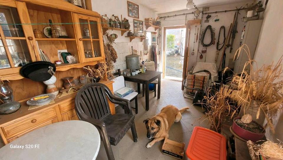 Einfamilienhaus Eilenburg - 9 Zimmer, 210 m&sup2;, 350.000&euro; | Angebot:26951340
