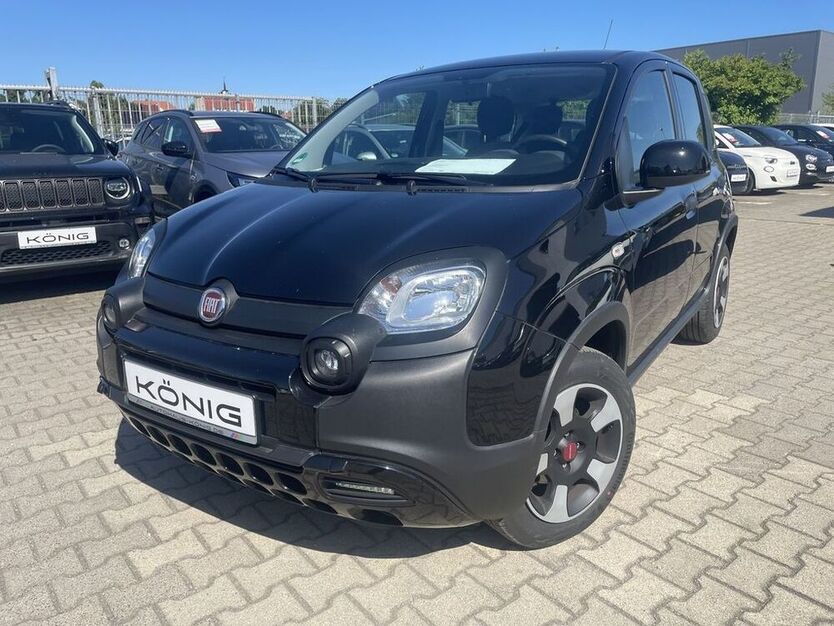 Panda