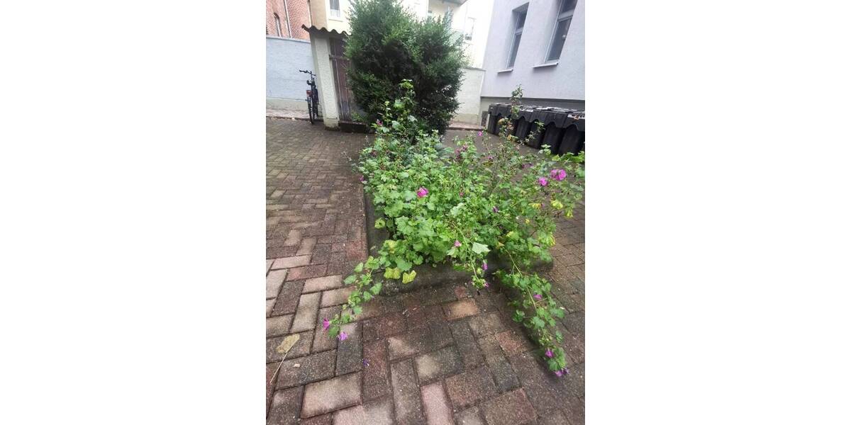 Etagenwohnung Eilenburg - 3 Zimmer, 76 m&sup2;, 623&euro; | Angebot:23326665