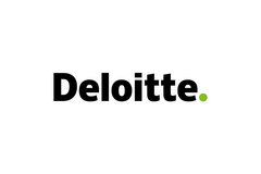 Solution Associate / Developer Supply Chain (m/w/d)