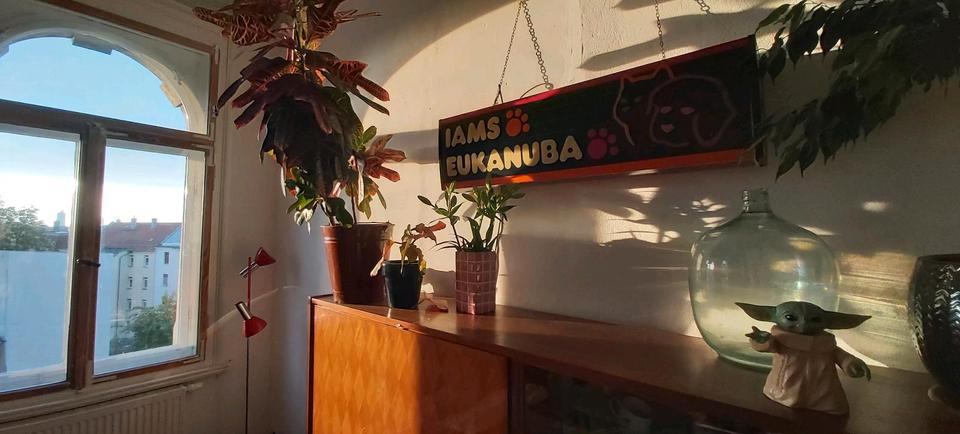 Etagenwohnung Leipzig Altwest - 1 Zimmer, 60 m&sup2;, 50&euro; | Angebot:26423245