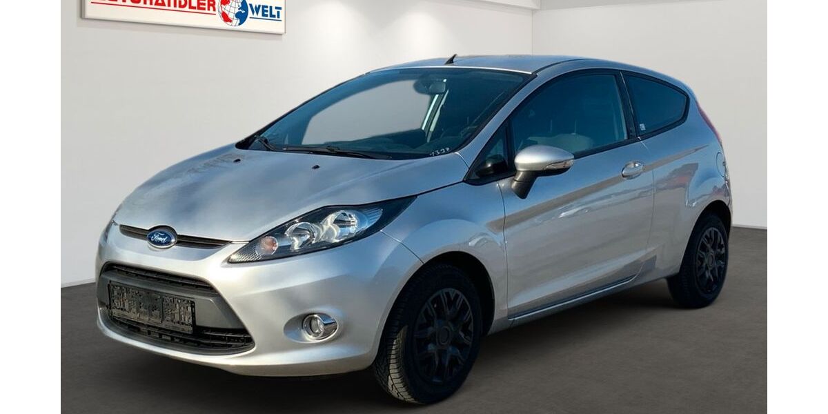 Ford Fiesta 178.576 km 1.999 &euro; Brehna 06796