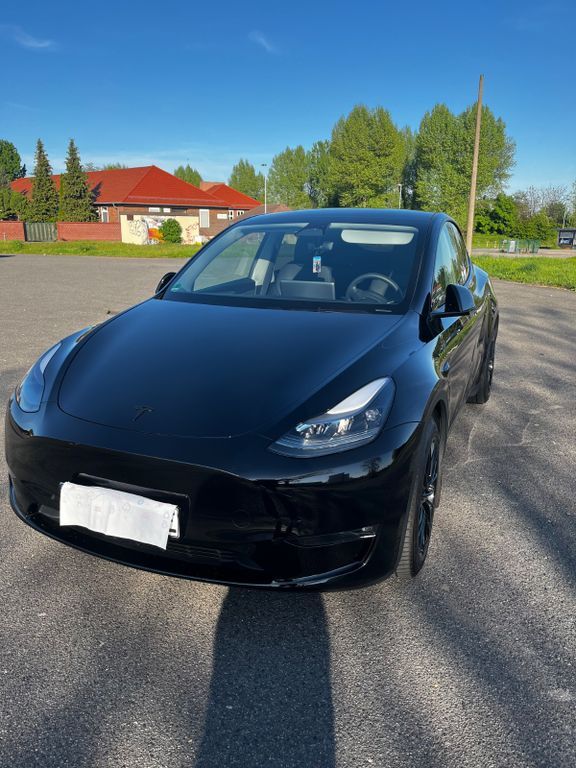 Model Y