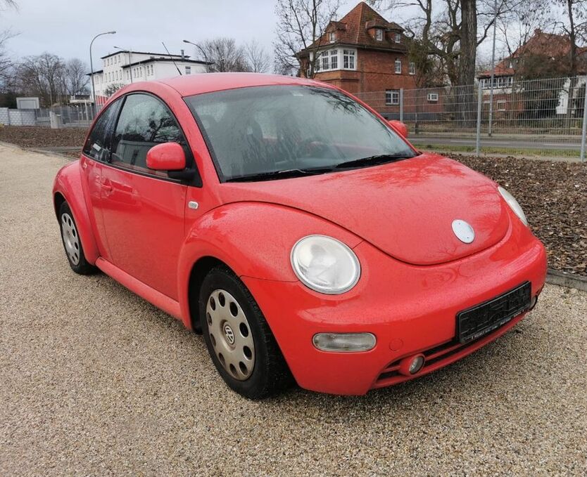 Beetle