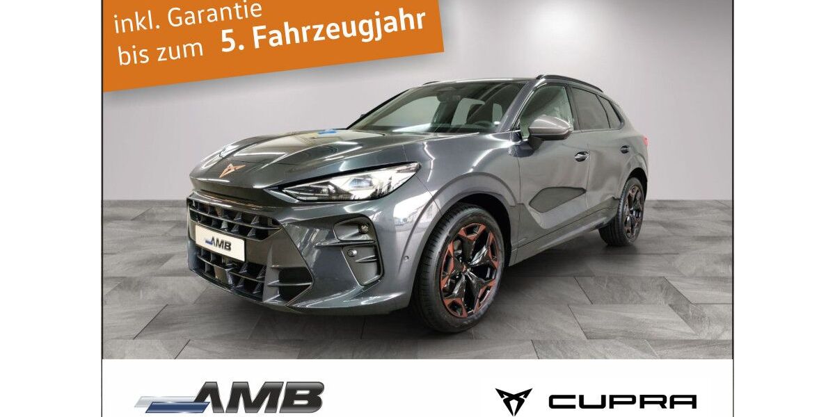 Cupra Terramar 10.000 km 42.690 &euro; Borna 04552