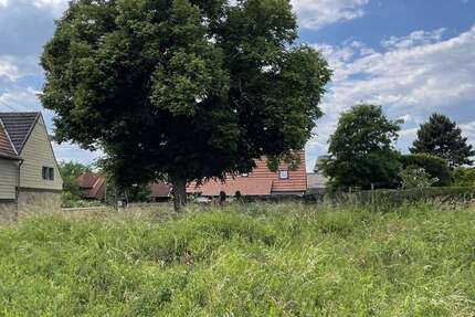 Grundstück Lützen - 110.000&euro; | Angebot:12000836