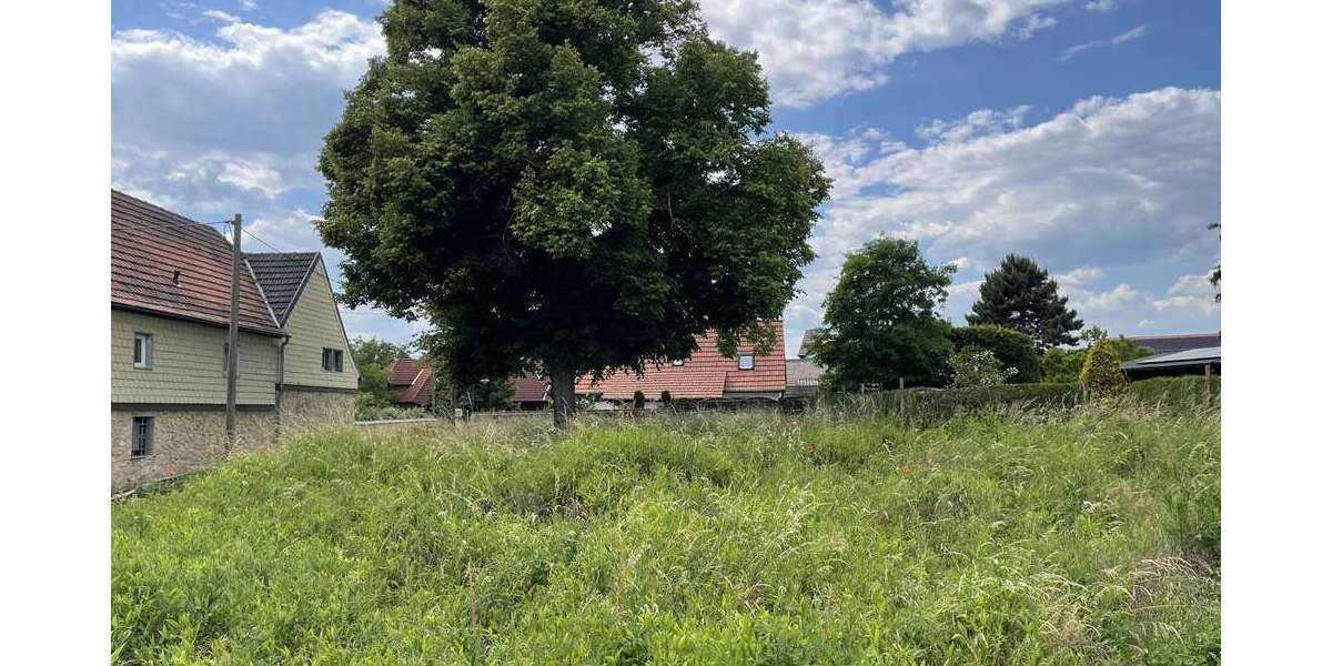 Grundstück Lützen - 110.000&euro; | Angebot:12000836