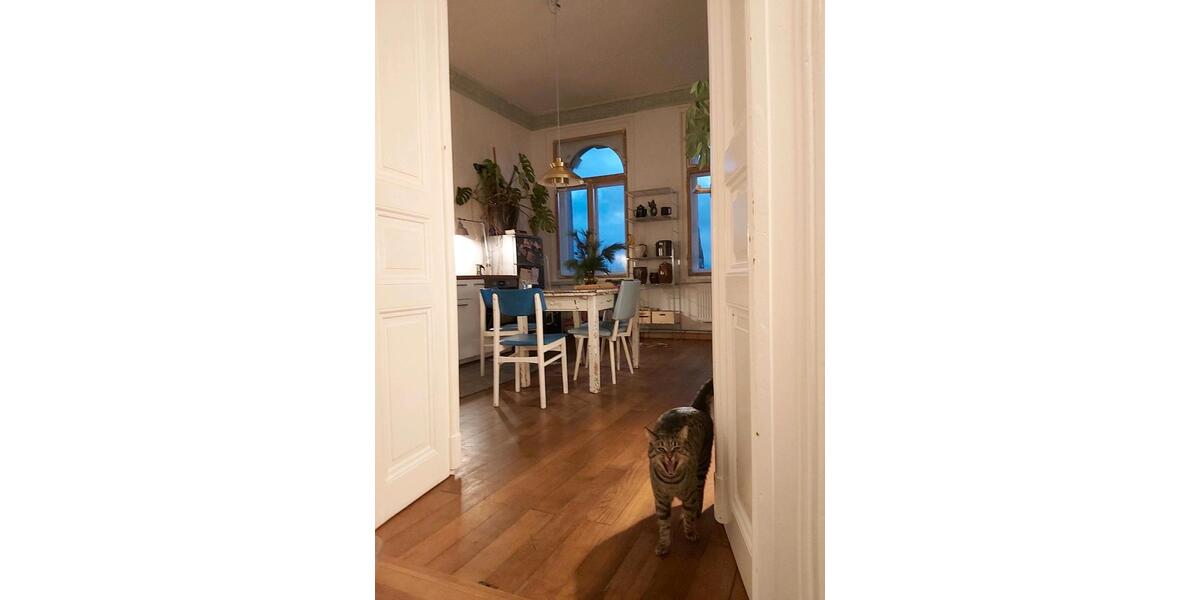 Etagenwohnung Leipzig Altwest - 1 Zimmer, 60 m&sup2;, 50&euro; | Angebot:26423245