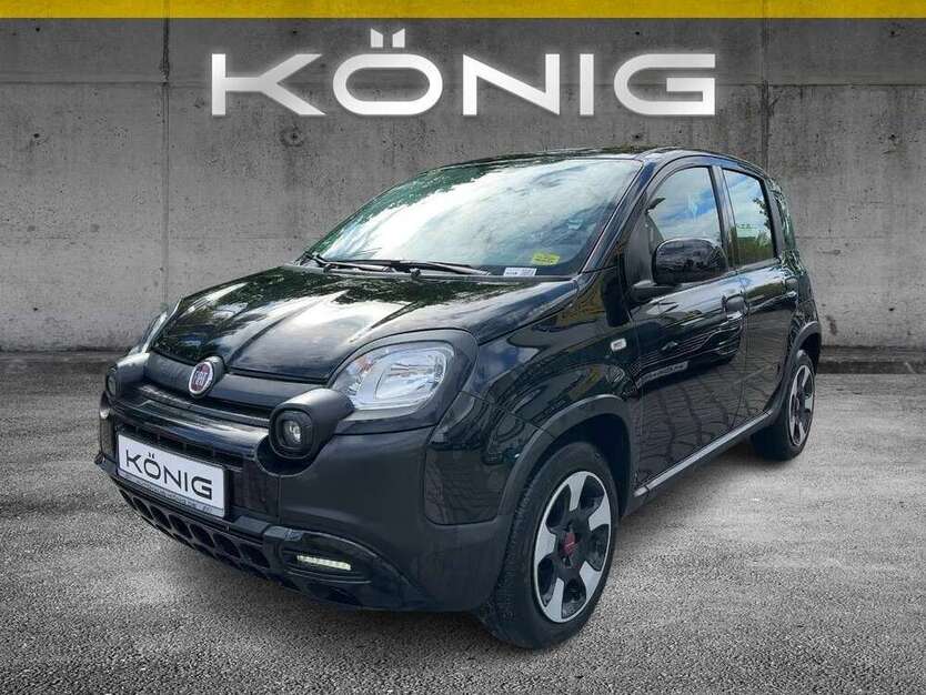 Panda