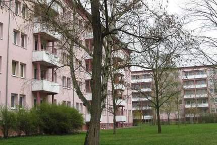 Wohnung zum Mieten in Halle 160,44 € 24.31 m²