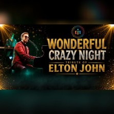 EJT - A Tribute to Elton John / Wonderful Crazy Night 11.12.2026 Volkshaus Pegau