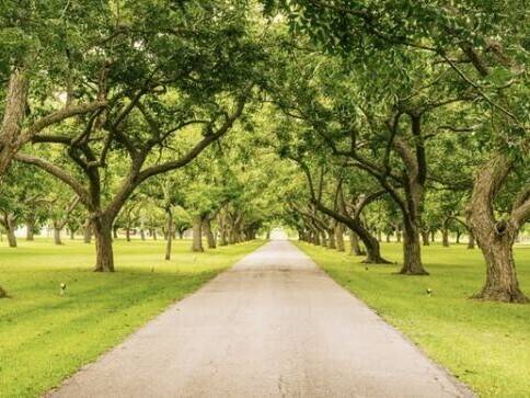 Privatgarten l Erstbezug | 4 Zimmer | Kamin 4 zimmer