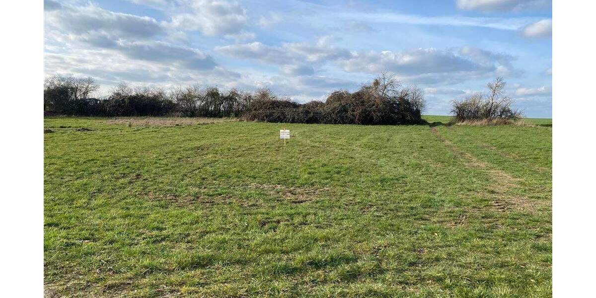 Grundstück Wurzen Kornhain - 45.000&euro; | Angebot:25687471